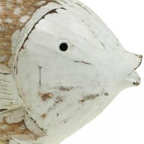 Decorazione marittima pesce legno pesce legno shabby chic 17×8cm