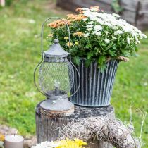 Lanterna in metallo, lampada LED, Shabby Chic Ø16cm H33.5cm