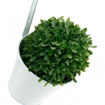 Fioriera, vaso di fiori da appendere, decorazione floreale, vaso sospeso bianco Ø13,5 cm