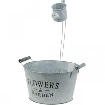 Prodotto Ciotola con annaffiatoio, decorazione da giardino, fioriera in metallo per piantare argento lavato bianco H41cm Ø28cm/Ø7cm