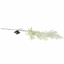 Prodotto Ramo decorativo mimosa verde effetto gelo 63cm