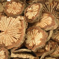Prodotto Mini dischi di legno decorazione noce di betel con grani 1-4,5 cm 300 g