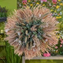 Prodotto Mini lancia di palma, fiori secchi, decorazione dell&#39;avvento, giorni commemorativi naturale L33–34 cm L7–9 cm 4 pezzi