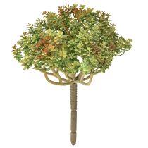 Prodotto Mini pianta artificiale succulenta verde con stelo H23cm