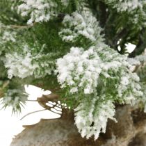 Mini albero di Natale in un sacco nevoso Ø25cm H42cm