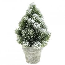 Mini albero di Natale in vaso innevato artificialmente Ø14cm H24cm