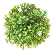 Prodotto Mini palla di bosso con fiori scatola palla verde Ø10cm