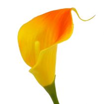 Prodotto Mini calla artificiale gialla 28cm 12pz