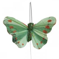 Prodotto Mini farfalla su filo rosso, verde 6,5 cm 12 pz