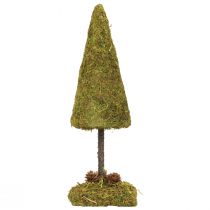 Mini albero di Natale decorazione tavolo muschio albero H30,5 cm