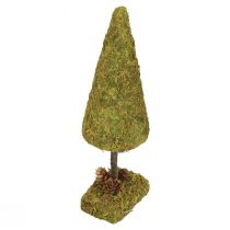 Mini albero di Natale decorazione tavolo muschio albero H30,5 cm