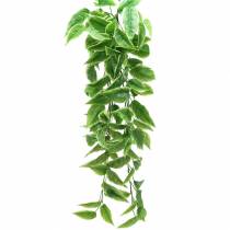 Funkie con bordi bianchi verde artificiale, bianco 100 cm