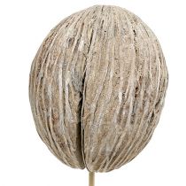 Prodotto Mintolla pallina su stick mix imbiancato 6 pz