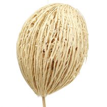Prodotto Palline di Mintolla sbiancate 8cm - 10cm L46cm 6 pz