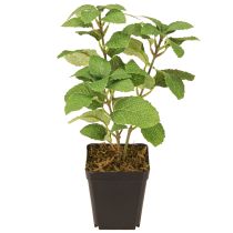 Prodotto Menta in vaso erbe artificiali pianta verde H24cm