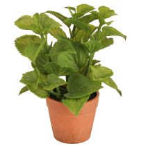 Prodotto Menta in vaso Erbe artificiali Piante artificiali 18 cm 2 pezzi