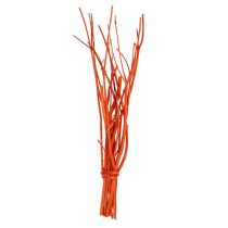 Rami di Mitsumata Arancio 34-60 cm 12 pezzi