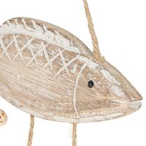 Prodotto Mobile in legno marittimo conchiglie di pesce bianco naturale L20cm 2pz