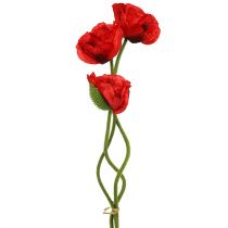 Rosso papavero 58 cm - 74 cm 3 pz
