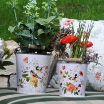 Prodotto Rosso papavero nell'erba 23 cm