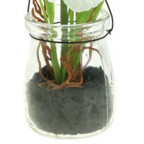 Prodotto Papavero in vetro da appendere bianco H22cm