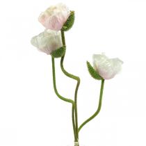 Papavero artificiale, fiore di seta bianco-rosa L55/60/70cm set di 3