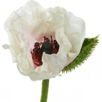 Papavero artificiale, fiore di seta bianco-rosa L55/60/70cm set di 3