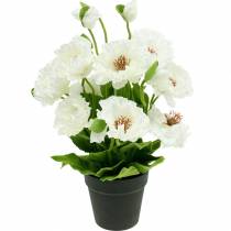 Papavero in una pentola fiori di seta bianca decorazione floreale