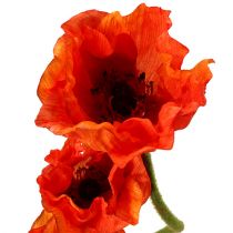 Prodotto Papaveri artificiali fiori artificiali arancioni 58 cm–74 cm 3 pezzi