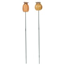 Prodotto Paletto da giardino con baccello di semi di papavero - elemento decorativo per abbellire il giardino e per progetti fai da te - 41 cm, 4 pezzi