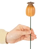 Prodotto Paletto da giardino con baccello di semi di papavero - elemento decorativo per abbellire il giardino e per progetti fai da te - 41 cm, 4 pezzi