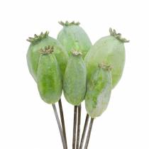 Capsule di semi di papavero verde artificiale 26 cm / 28 cm 6 pezzi