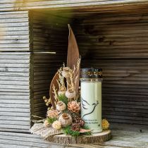 Capsula di papavero grandi fiori secchi papavero giallo deco papavero 5pz