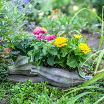 Capsula di papavero per piantare, decorazione in cemento, vaso per piante, decorazione da giardino L29,5 cm