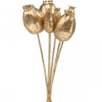 Capsule di papavero decorazione papavero oro artificiale Decorazione natalizia 38 cm 6 pezzi