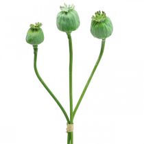Capsule di semi di papavero decorazione semi di papavero artificiali su un bastone verde 58 cm 3 pezzi in un mazzo