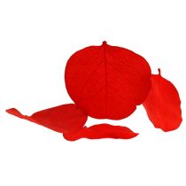 Moneta foglie rosse 50g