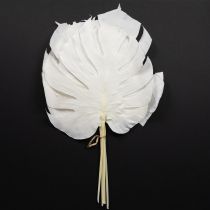 Prodotto Foglie di monstera sbiancate decorative per finestra H40cm 5 pezzi