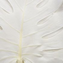 Prodotto Foglie di monstera sbiancate decorative per finestra H40cm 5 pezzi