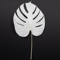 Prodotto Foglie di monstera sbiancate decorative per finestra H40cm 5 pezzi