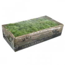 Prodotto Muschio islandese verde muschio 400g
