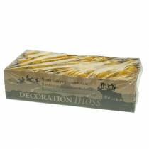 Prodotto Giallo Muschio Renna 400g