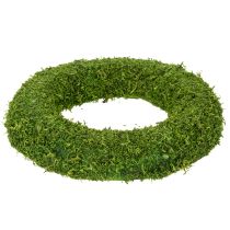 Prodotto Ghirlanda decorativa di muschio per composizioni stagionali e design personalizzato, 15 cm, 6 pezzi
