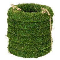 Prodotto Ghirlanda decorativa di muschio per composizioni stagionali e design personalizzato, 15 cm, 6 pezzi