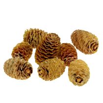 Prodotto Crema di coni Sabulosum 500g
