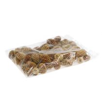 Prodotto Crema di coni Sabulosum 500g