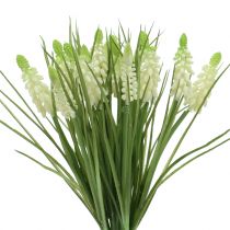 Giacinti d&#39;uva in mazzetto bianco 30 cm 15 pz