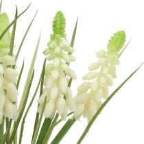 Prodotto Giacinti d'uva in mazzetto bianco 30 cm 15 pz