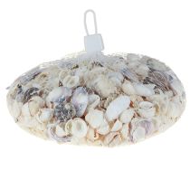 Prodotto Decorazione a conchiglia mini vongole conchiglie di lumaca 1–3 cm 340 g