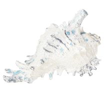 Prodotto Decorazione a conchiglia Lumaca di mare artificiale blu-bianca 11,5/13 cm 2 pezzi